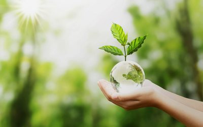Avec France Relance, les PME s’engagent en faveur de la transition écologique